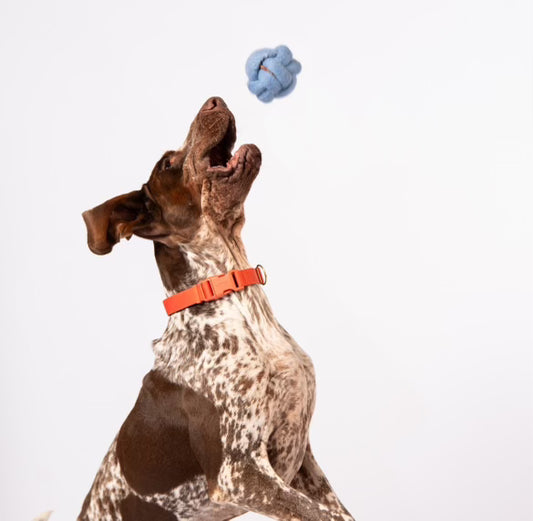 Balle noeud pour chien en feutre