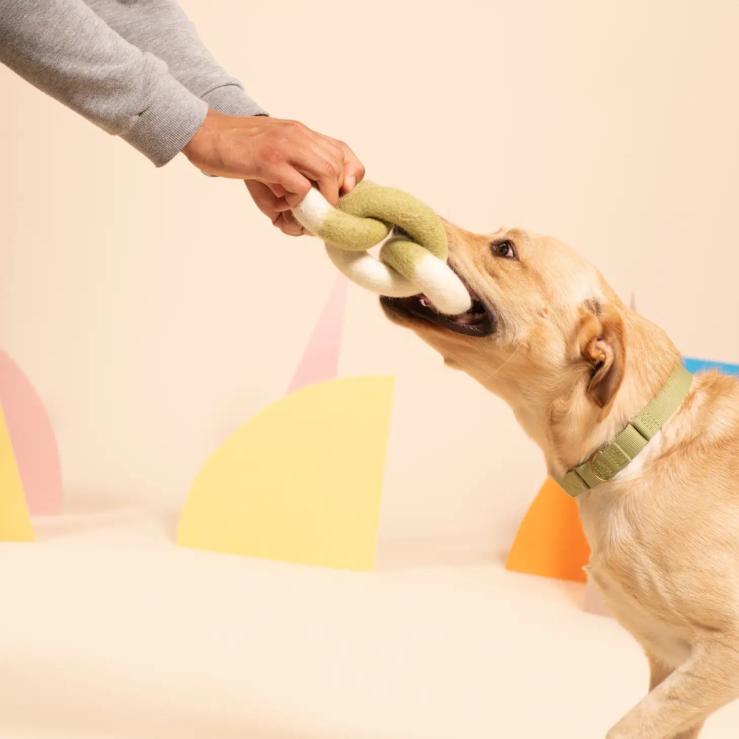 Jouet en feutre non toxique - Dogs with Flair