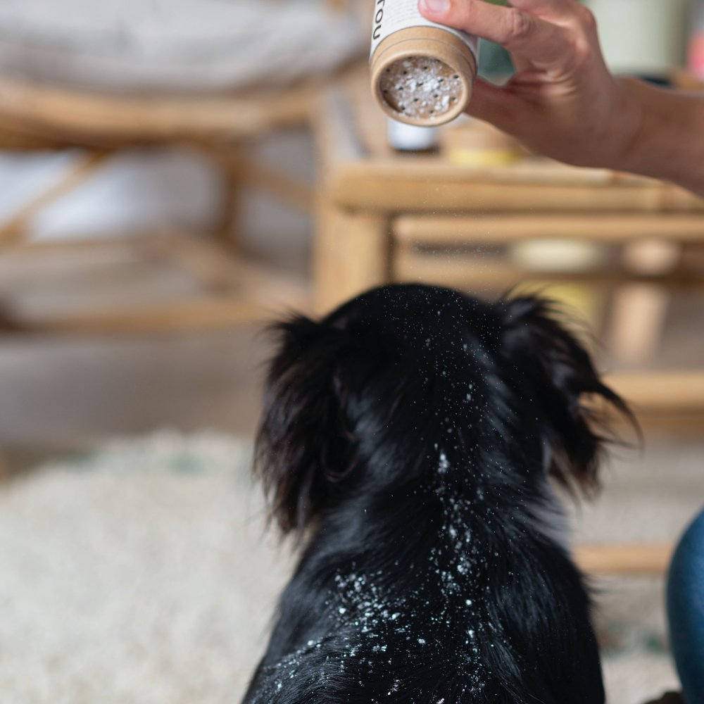 Shampoing sec pour chien certifié bio